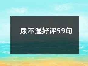尿不湿好评59句