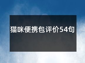 猫咪便携包评价54句