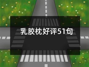 乳胶枕好评51句