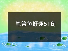 笔管鱼好评51句