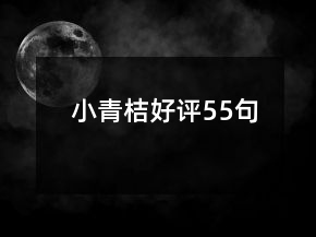 小青桔好评55句