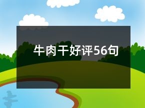 牛肉干好评56句