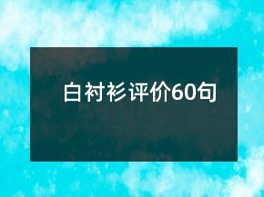 白衬衫评价60句
