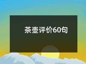 茶壶评价60句