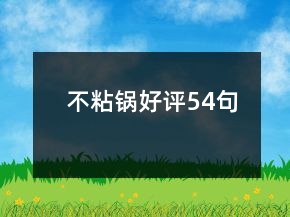 不粘锅好评54句
