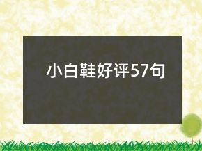 小白鞋好评57句