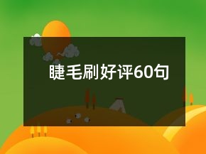 睫毛刷好评60句