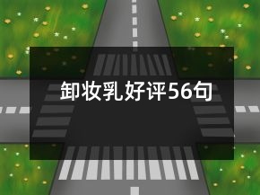 卸妆乳好评56句