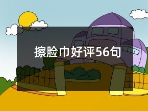 擦脸巾好评56句