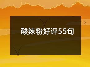 酸辣粉好评55句