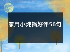 家用小炖锅好评56句