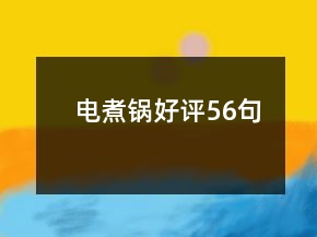 电煮锅好评56句
