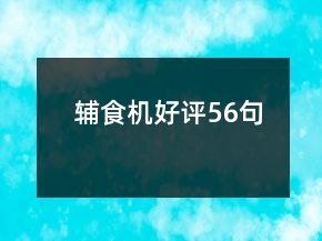 辅食机好评56句