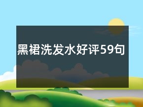 黑裙洗发水好评59句