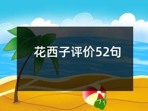 花西子评价52句