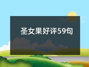 圣女果好评59句