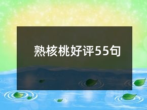 熟核桃好评55句