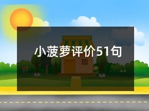 小菠萝评价51句