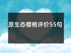 原生态樱桃评价55句