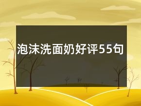 泡沫洗面奶好评55句