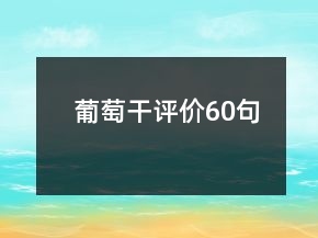 葡萄干评价60句
