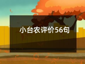 小台农评价56句