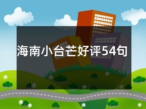 海南小台芒好评54句