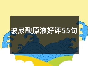 玻尿酸原液好评55句