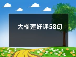 大榴莲好评58句