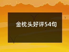 金枕头好评54句