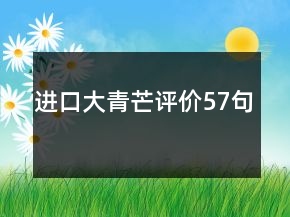 进口大青芒评价57句