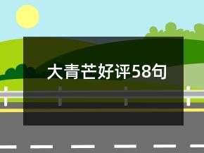 大青芒好评58句