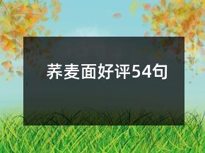 荞麦面好评54句