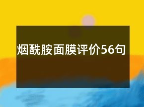 烟酰胺面膜评价56句