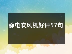 静电吹风机好评57句