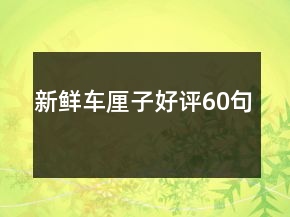 新鲜车厘子好评60句