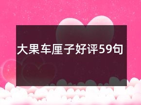 大果车厘子好评59句