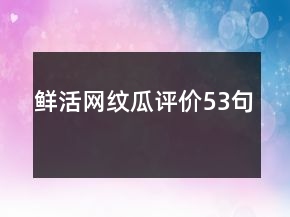 鲜活网纹瓜评价53句