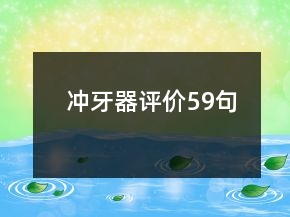冲牙器评价59句