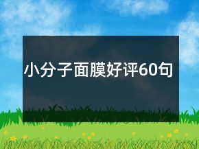 小分子面膜好评60句