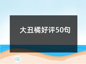 大丑橘好评50句