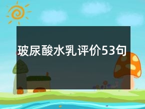 玻尿酸水乳评价53句
