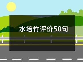 水培竹评价50句
