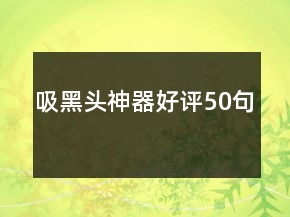 吸黑头神器好评50句