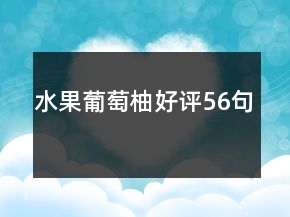 水果葡萄柚好评56句