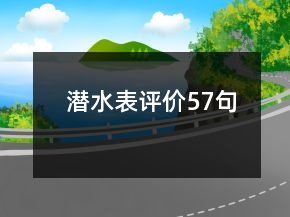 潜水表评价57句