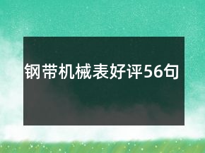 钢带机械表好评56句