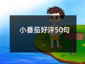 小番茄好评50句