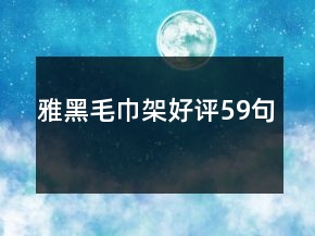 雅黑毛巾架好评59句