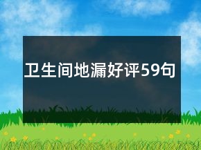 卫生间地漏好评59句
